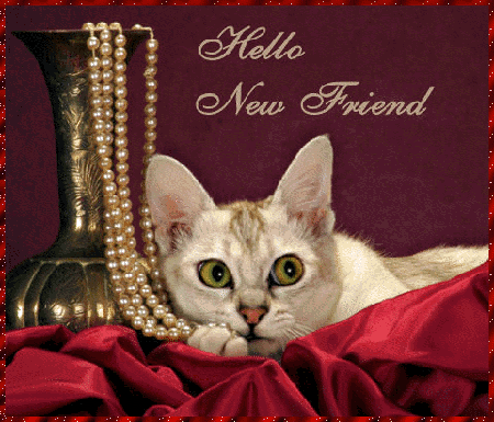 [ Please click me tender ]
