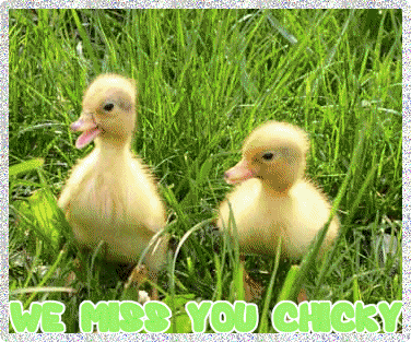 [ Please click me tender ]