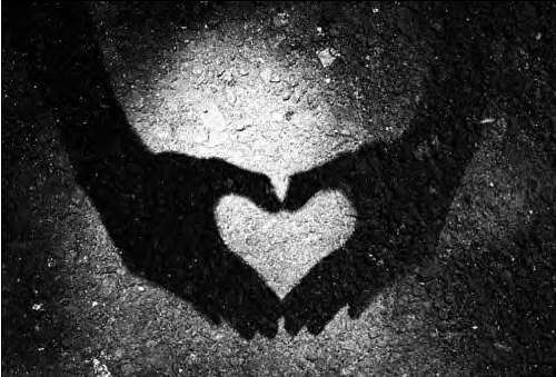 [ Please click me tender ]