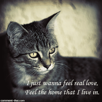 [ Please click me tender ]