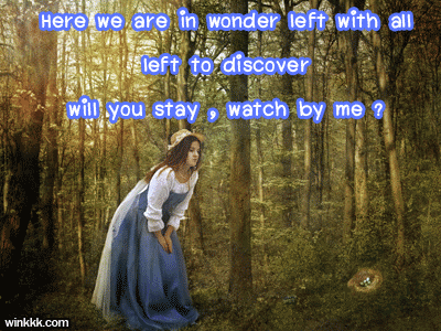 [ Please click me tender ]