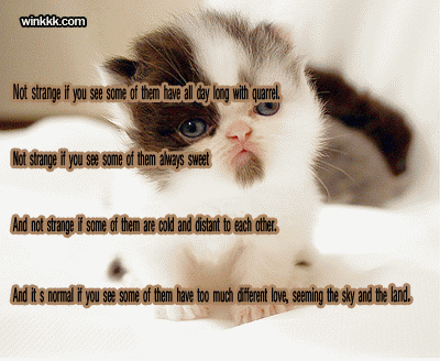 [ Please click me tender ]